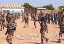 Deg deg Ciidamo oo wato wasiir Janan oo lawareegay Balad-Xaawo