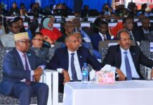 Halkaan Akhriso: Warmurtiyeed laga soo saaray Shirka Magaalada Garoowe