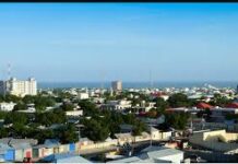 Dhageyso: Aabe dhalay Qaar ka mid ah Caruurtii uu Madfaca ku dilay degmada Balad Xaawo oo ka hadlay dareenkiisa