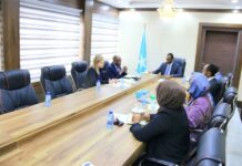 Dawlada Federaalka oo ka codsaday Qaramada Midoobay in la dar dargeliyo Barnaamijyada loogu gurmanayo Dadka Tabaaleysan