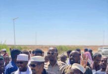 Sheekh Mustafa Xaaji Ismaaciil Haaruun oo si diiran loogu soo dhaweeyay Magaalada Garoowe