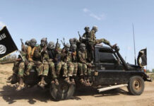Alshabaab oo weeraray Kolonyo Gaadiid ah oo uu la socday Gudoomiyaha Degmada Luuq ee gobolka Gedo