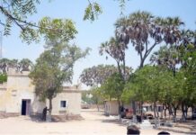 Warar Dheeraad ah oo ka soo baxaya Askari Maanta lagu dilay Magaalada Baladweyne