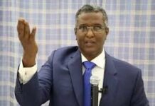 Cabdiraxmaan Cabdishakuur: Madaxweyne Farmaajo Waxa uu Hadda Xilka ku haayaa Waa Inqilaab