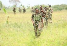 Dhageyso: Ciidanka Maamulka Koofur galbeed oo bilaabay Halwgalo lagu Furayo Wadooyinka