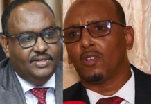 Xildhibaan Daahir Amiin Jeesow oo Dagaal Afka ah ku Qaaday Madaxweyne Deni