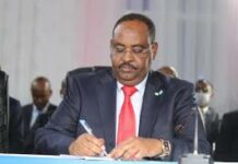 Madaxweyne Deni oo Magacaabay Taliyaal Ciidan