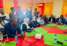 Nin la sheegay in uu ahaa Lataliyaha Madaxweyne Farmaajo oo laga saaray shirka Baydhabo