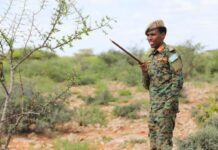 Taliska Ciidanka Xoogga Dalka oo ka hadlay Weerar shabaab lagu qaaday oo ka dhacay shabeelaha Hoose