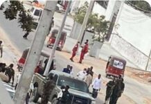 Taliye Ku xigeenka Ciidanka Xoogga dalka oo ka badbaaday Qarax miino