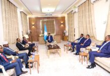 DEG DEG: Shirkii wadatashiga Dhuusamareeb oo fashil kusoo gaba-gaboobay