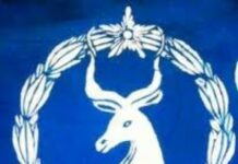 Taliska Ciidanka Booliska Soomaaliya oo sheegay in ay Fashiliyeen Qarax Ismidaamin ah