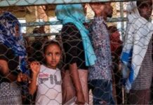 Dawlada Itoobiya oo Is Hor Istaagtay Mucaawino loo waday Gobolka Tigray