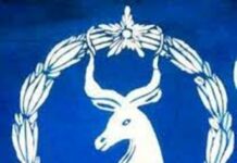 Taliska Ciidanka booliska oo baaraya Dilka 3 Haween oo ka dhcay Deyniile