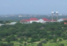 Meydadka Dumar Jirkooda Rasaas ay ka muuqato oo saakay Degmada Deyniile lagu arkay