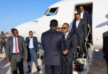 Ra’iisal Wasaare Rooble iyo Wafdi uu Hogaaminayo oo ka qayb galaya shirka Dhuusamareeb