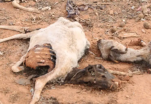 Abaaro laga soo sheegayo degaano ka Tirsan gobolka Hiiraan