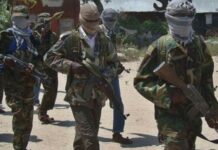 Maraykanka oo liiska waxa loogu yeero Argagixisada ku daray Xubno ka Tirsan Alshabaab