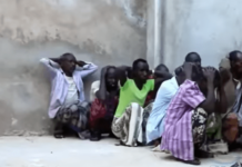 Ciidanka Puntland oo Hawlgal ku soo qabtay Xubno ka Tirsan Alshabaab