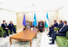 Madaxweyne Deni oo Garowe kula kulmay Wafdi ka socday Midowga Yurub