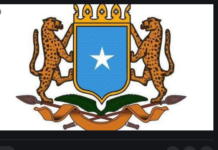 Dawlada Soomaaliya oo kordhisay Xayiraada Cudurka Covid19