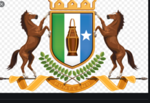 Puntland oo ka Jawaabtay Eedeeyn uga Timid Dawlada Madaxweyne Farmaajo