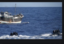 Dawlada Soomaaliya oo sheegtay in maraakiibta Masar sharci darro ug kalluumeysanayaan xeebaha Soomaaliya