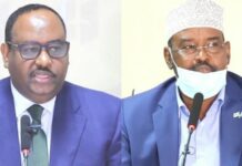 Waa Maxay Iskaashiga Siyaasadeed ee ka Dhexeya Deni iyo Axmed Madoobe?