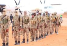 Ciidamo markale maanta la geeyay Degmada Doolow ee gobolka Gedo: Daawo+Sawiro