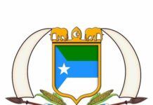 Jubland oo ku Eedeeysay Madaxweyne Farmaajo in uu Abaabul dagaal uu ka wado gobolka Gedo