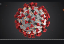 Cudurka Covid19 oo mar kale ka dilaacay Dhulka Ismaamulka Soomaalida Itoobiya