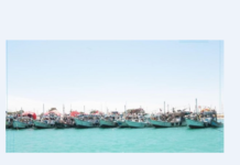 Puntland oo Xukun ku riday Doomo kalluumeysi oo laga lee yahay Dalka Yeman