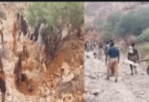 Faah Faahino ka soo baxaya Dagaal ka dhacay degaanka shidan ee gobolka Sanaag