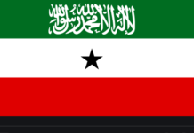 Kiisaskii ugu badnaa ee Cudurka Covid19 oo laga helay Degaanada Somaliland