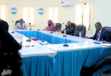 Puntland oo shaacisay Xilliga la bilaabayo Jadwalka Diiwaan gelinta Codbixiyaasha