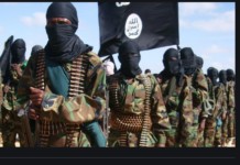 Alshabaab oo ka hadlay Weerarkii ka dhacay Bariire iyo Awdheegle