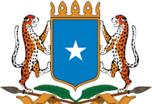 Dawlada Soomaaliya oo ka Tacsiyadeeysay shil tareen oo ka dhacay Dalka Masar