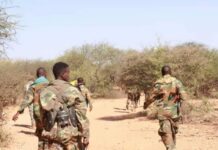 Maamulka K/Galbeed oo sheegay inay dileen Xubno Shabaab oo Miino Aasayay{AKHRISO}