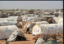 Qareen u dhashay dalka Kenya oo ka horyimid go’aanka dawlada Kenya ay ku xireyso Xeryaha Qaxootiga