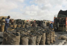 Kenya oo Wadamada Bariga Afriga Uga Hormartay Dhoofinta Dhuxusha