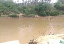 Wabiga Shabeelle ee Mara Degmada Baladweyne oo Biyo Yareeyay.{warbixin}