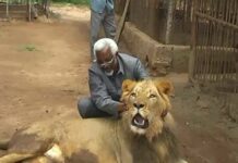 Libaax Qof Dumar ah ku dhaawacay Magaalada Hargeysa