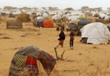 Maraykanka o Kenya ka hor istaagaya in ay xirto Xeryaha Qaxootiga