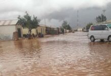 Roobab ka da’ay degaano ka Tirsan Gobolka Nugaal