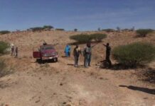 Somaliland oo Ciidamo kala dhex-dhigtay Maleeshiyad dagaalamay