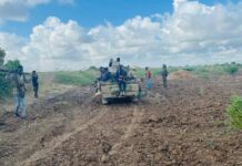 Ciidamada dowladda oo sameeyay howlgal Miino baaris ah