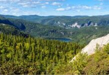 Soomaali badan oo ka guurtay gobolka Quebec ee dalka Canada