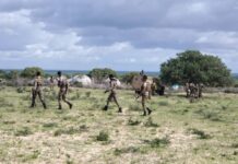 Dowladda oo sheegtay inay weerar ku dishay Xubno ka tirsan Al-Shabaab