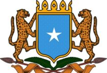 Dowladda Soomaaliya oo cambaareeysay qaraxyo lagu dilay Arday.