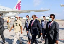 Deni & Axmed Madoobe oo dib ugu laabanaya degaanadooda